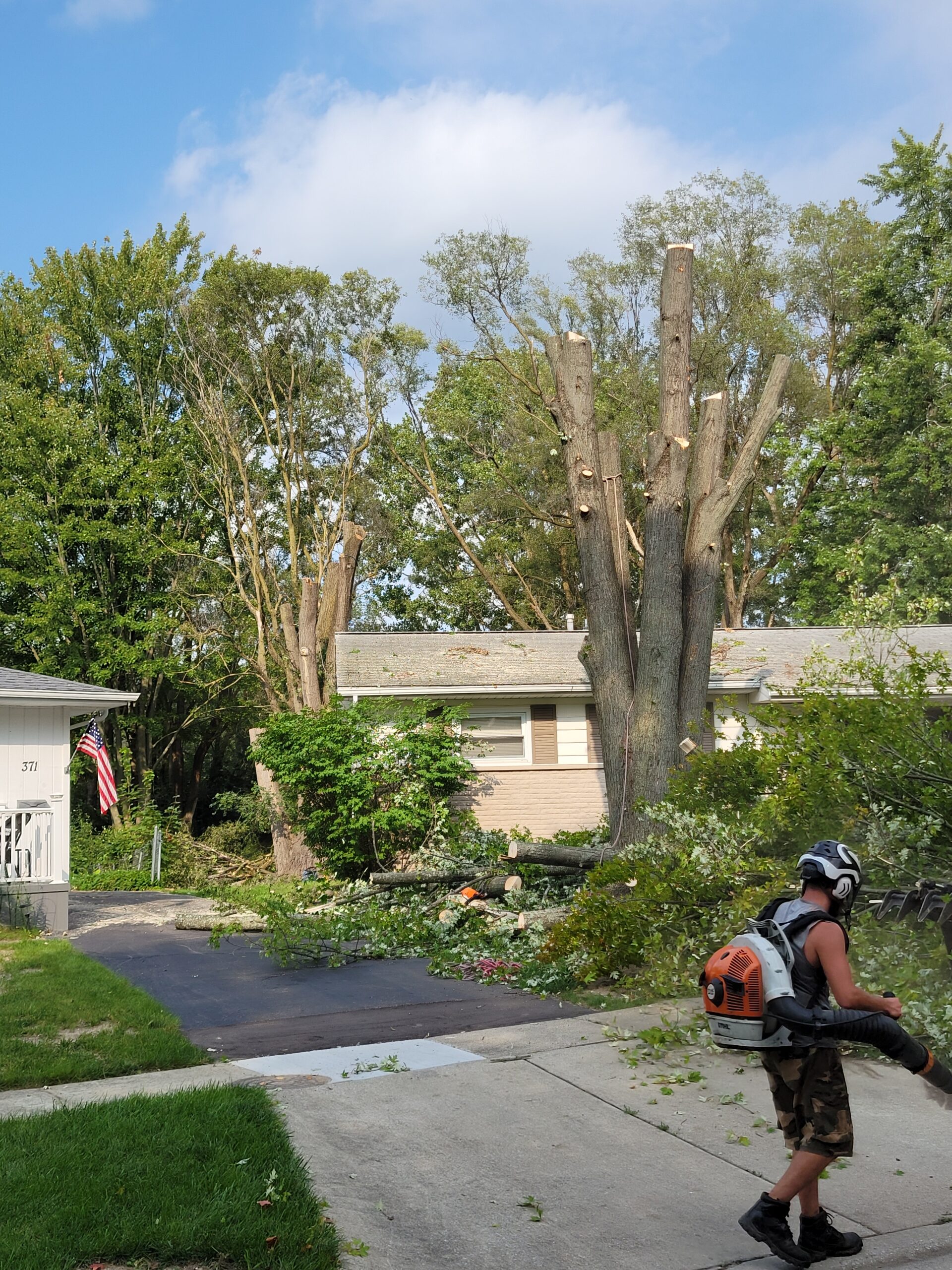 Spring Tree Pruning in Michigan