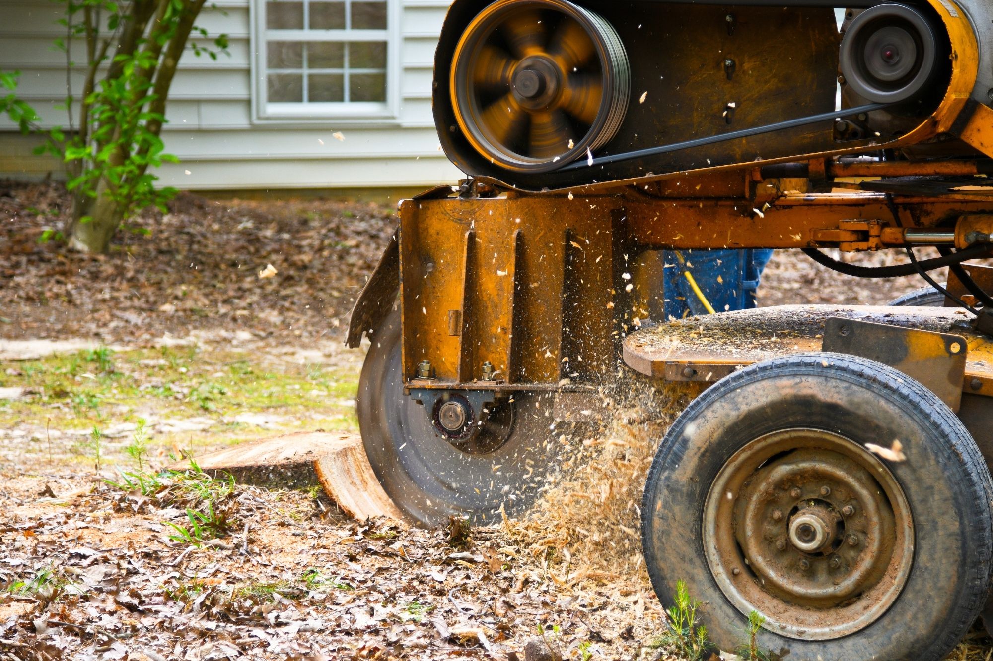 Mid-Michigan-Stump-Removal-Grinding-Genesee-County