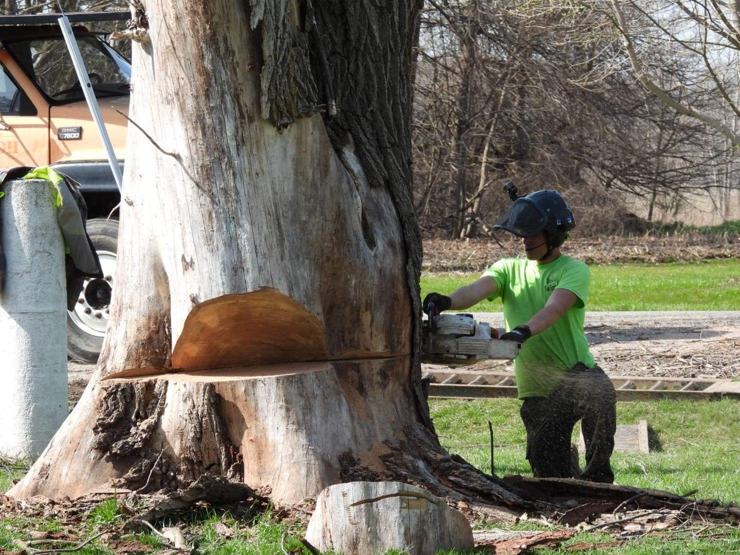 Tree Touching a Power Line – Call a Professional Immediately