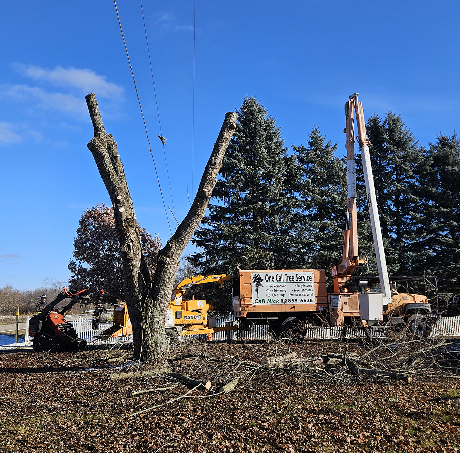 One Call Tree Service Mid Michigan Professional Tree Services